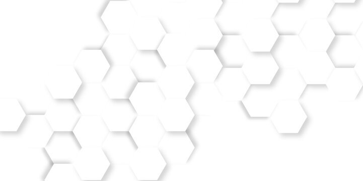 Modern geometrical dynamic and seamless abstract white background. Abstract background in white and gray shadows. Abstract geometric background Template for branding business technology concept design