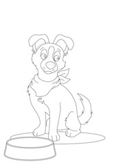 Animal Drawings