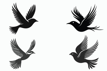 Obraz premium set of vector wings