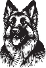 Naklejka premium Print Long-Haired German Shepherd Dog Head Vector