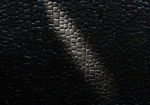 Charred Wood Shou Sugi Ban Wall