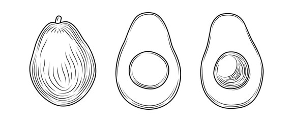 Set of black whole avocado and slices with pit engraved style isolated on white background. Tropical summer fruit vector hand drawn illustration. Detailed food drawing for label, poster, print.