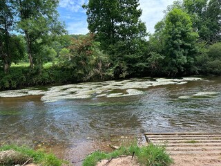 L'auvézère, rivière à tourtoirac