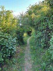 chemin de randonnée