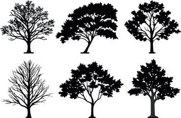 Set of six distinct silhouette trees displaying varied shapes and leaf structures