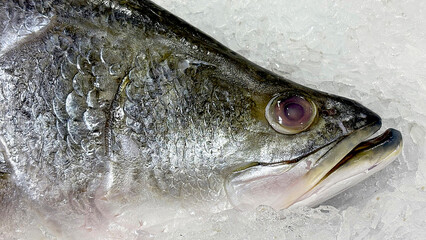 Fresh fish frozen in the market contain Omega 3
