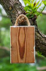 Rustic wooden empty board hangs on tree offers empty copyspace