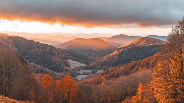 Autumn sunset over mountainous valley, forest foliage