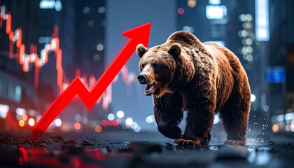 Bull Market Bear.