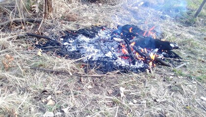 Burning campfire with autumn field.