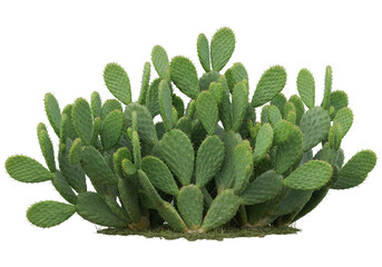 Lush green cactus cluster thriving in a bright desert landscape under a clear blue sky