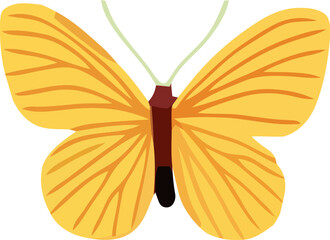 Bright yellow butterfly in flight against the night sky, showcasing vibrant colors and delicate wings