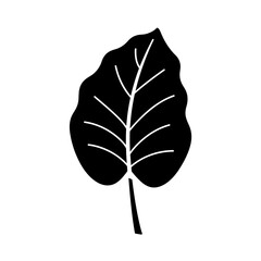Black silhouette of single leaf with white veins