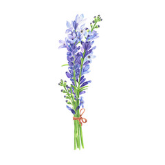 Obraz premium Watercolor lavender twigs bouquet with blue lilac blossoms. Hand-drawn illustration of scented aromatic plants for aromatherapy, healing chakras, herbal tea, cosmetic and parfum