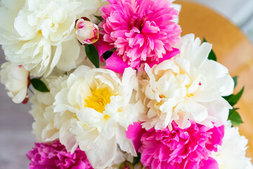 Bouquet of fresh peonies close up. Plants, gardening, eco  nature concept