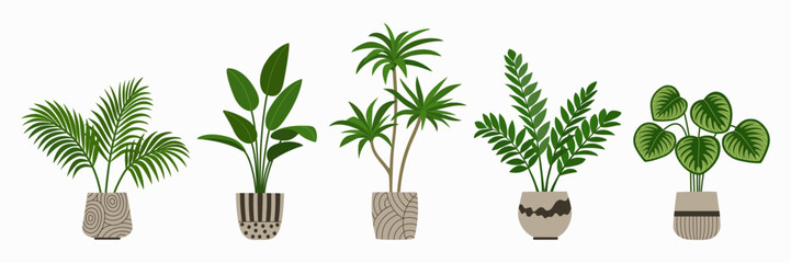 Set of potted plants. Houseplants in ceramic pots for indoor decoration. Hand drawn vector illustration isolated on white background, flat cartoon style.