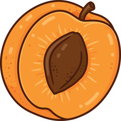 Half Apricot with Seed, Detailed Fruit Illustration, Organic Fresh Produce Clipart