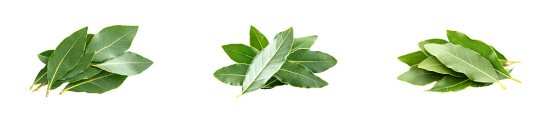 Obraz premium Fresh bay leaves for flavor isolated set on transparent background