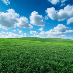 Obraz premium Green field and blue sky with clouds.