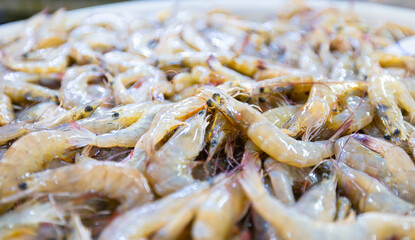 Fresh thai shrimp at market display, bokeh