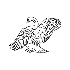 elegant swan with outspread wings vector