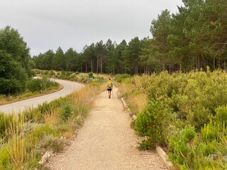 Obraz premium Hiker on a Forest Path