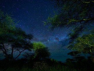 Fototapeta premium Noche estrellada en África con un poco de via láctea