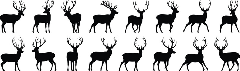 Vector silhouettes of deer, wild animal in black, various poses, deer with antlers, wildlife, forest creatures, isolated on white background

 flat vector illustration
