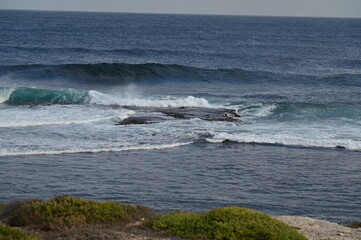 Obraz premium Rottnest Island, Australia – June 2, 2025: The Rottnest Island of Western Australia