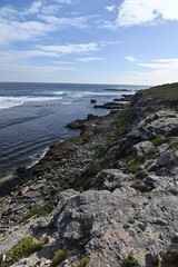 Rottnest Island, Australia – June 2, 2025: The Rottnest Island of Western Australia