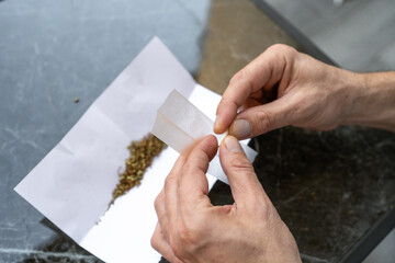 Middle-Aged Man Folding Rolling Paper To Prepare Cannabis Joint