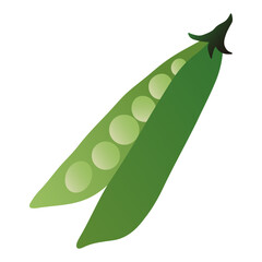 Green pea pod. Fresh peas in pod with seeds, organic natural vegetarian food gradient flat style, healthy diet nutrition ingredient. Vector isolated illustration