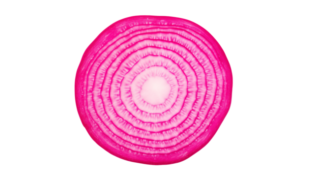 Vibrant Red Onion Cross Section Studio Shot Food Photography