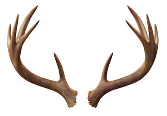 Fototapeta premium Deer antlers with transparent background can be used as decoration.