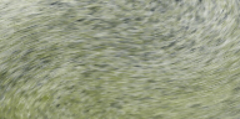 close up of a fur tree