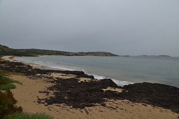 Penguin Island, Australia – May 31, 2025: The Penguin Island and Shoalwater of Rockingham, Perth