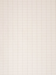Texture of an old sheet of paper with a grid
