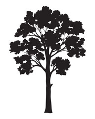 Minimalist Oak Tree Silhouette – Rounded Foliage Vector Illustration