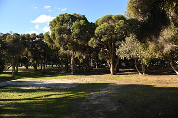Whiteman, Australia &ndash; June 1, 2025: The Whiteman Park, Perth of Western Australia