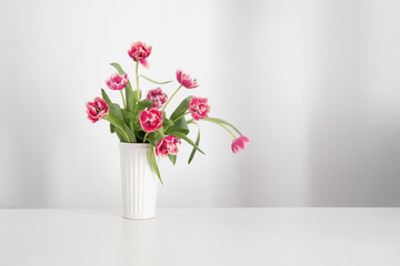beautiful tulips in vase in white interior