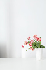 beautiful tulips in vase in white interior