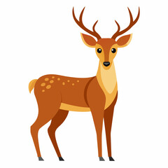 deer vector illustration