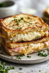 Delicious grilled cheese sandwich with herbs and melted cheese layers