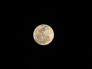 Full moon on blank background