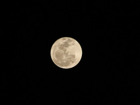 Full moon on blank background
