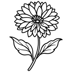 Calendula Flower Illustration on White Background Detailed Vector Design with Vibrant Colors and Botanical Elements for
