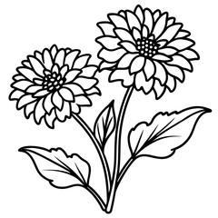 Calendula Flower Illustration on White Background Detailed Vector Design with Vibrant Colors and Botanical Elements for