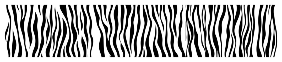 zebra stripe seamless border pattern © Aisha Kudorova