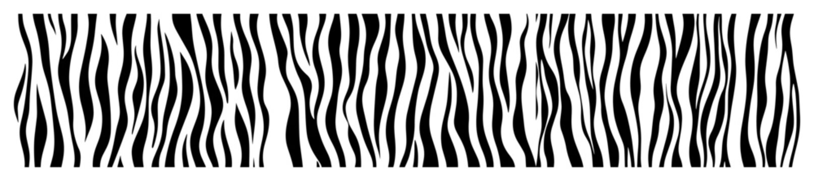 zebra stripe seamless border pattern