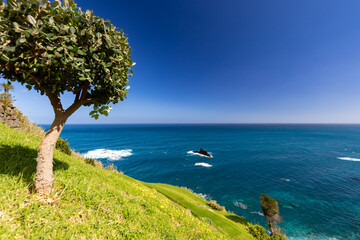 Malowniczy krajobraz wodny z wybrzeżem nad Oceanem Atlantyckim na egzotycznej wyspie Madera, pejzaż morski, tło lub tapeta do projektu, n  © anettastar